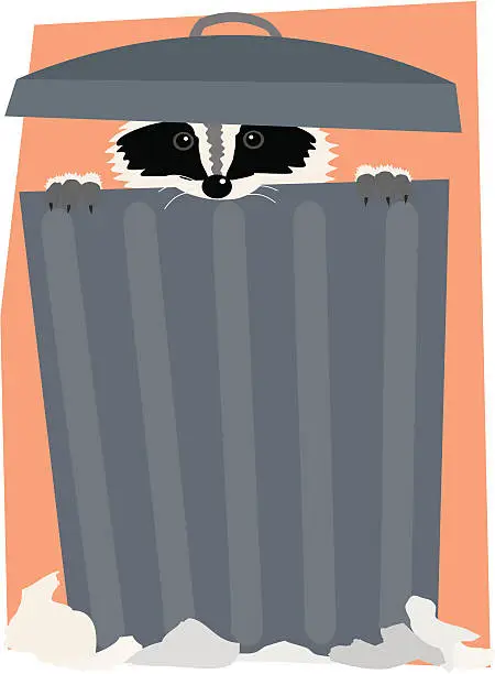 Vector illustration of Raccoon in a Trash Can