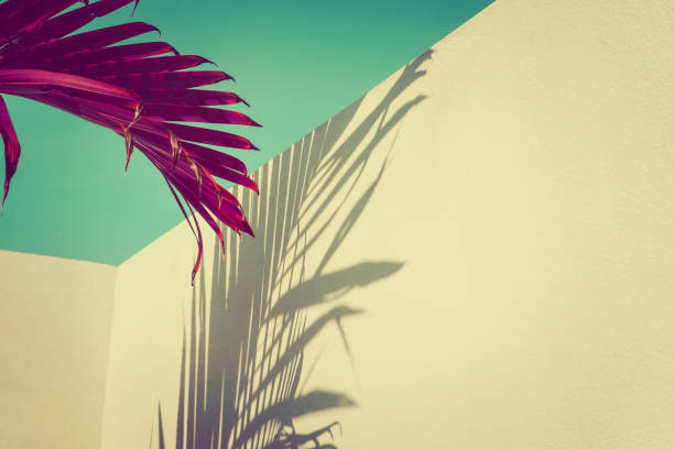 istock Purple palm leaves over vintage sky, minimalism 977655486