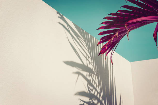 istock Purple palm leaves over vintage sky, minimalism 977655494