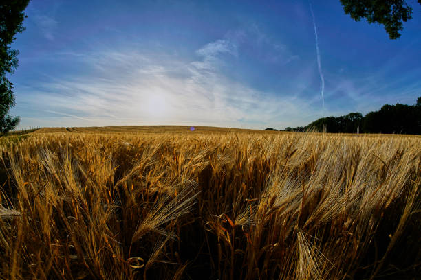 istock 12mm Fisheye - Landscape Series 977661816