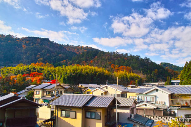 istock Saga Toriimoto Town 977661882