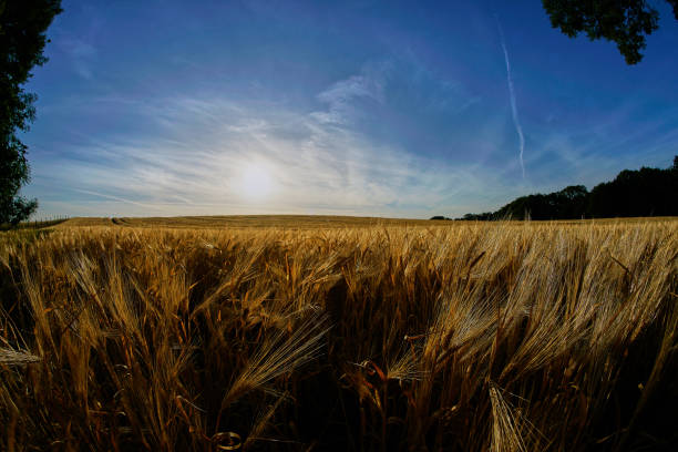 istock 12mm Fisheye - Landscape Series 977662850