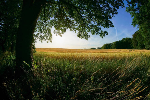 istock 12mm Fisheye - Landscape Series 977663628
