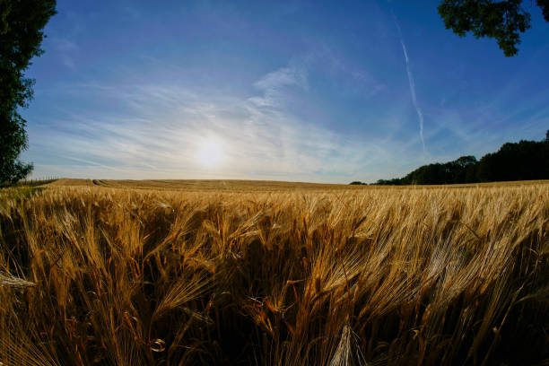 istock 12mm Fisheye - Landscape Series 977667180