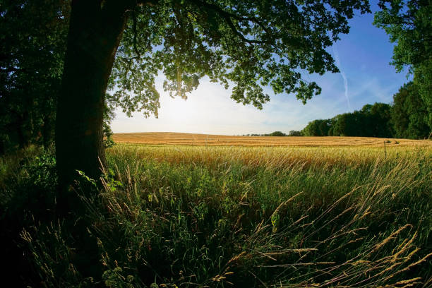 istock 12mm Fisheye - Landscape Series 977667482
