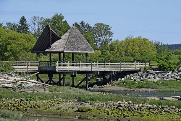 istock Air Park trail bridge Courtenay BC 977667492