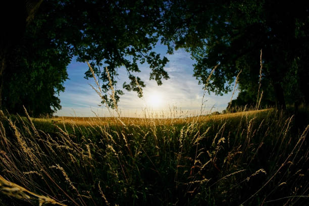 istock 12mm Fisheye - Landscape Series 977670194