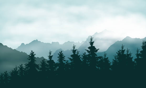реалистичная иллюстрация хвойного леса в горном ландшафте в дымке под зеленым небом с облаками - вектор - fog landscape backgrounds cloud stock illustrations