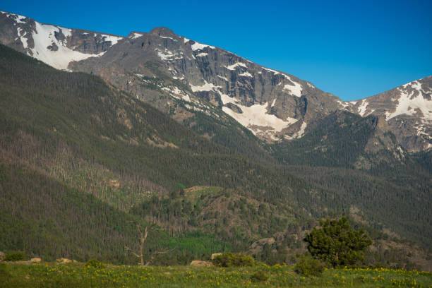 istock Moraine Park in Rocky Mountain National Park 977687500