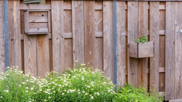 istock Wooden garden screen 977688304
