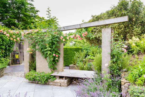 istock Garden design with a concrete gray wall 977688604