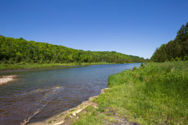 istock Landscape View of a Country Pond 977697668