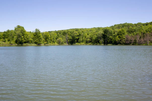 istock Landscape View of a Country Pond 977697814