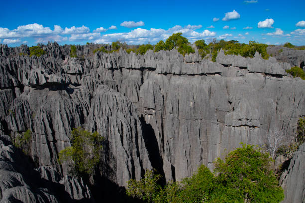 istock Tsingy De Bemaraha National Park 977701224
