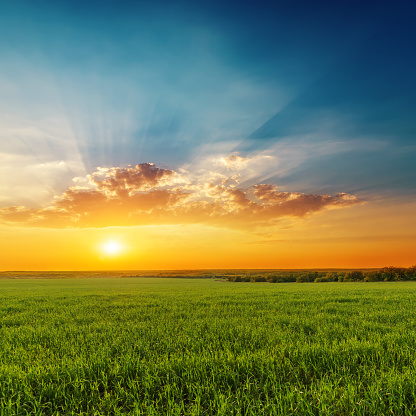 dramatic orange sunset with clouds over green grass agriculture field