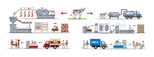 fabryka mleka i mięsa. - farm animal cartoon cow stock illustrations