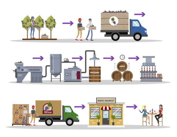 ilustrações de stock, clip art, desenhos animados e ícones de wine production set. - vintner