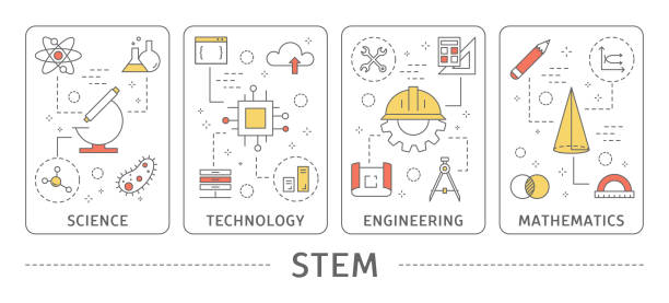 STEM concept illustration. STEM concept illustration. Science and technology, engineering and mathematics. plant stem stock illustrations