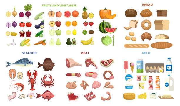 ilustraciones, imágenes clip art, dibujos animados e iconos de stock de conjunto de todos los alimentos. - grupo de objetos ilustraciones