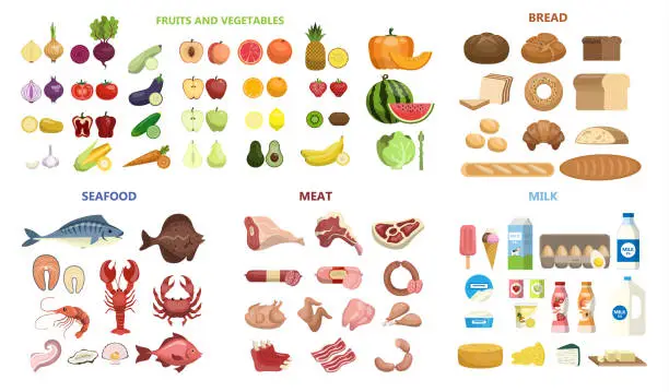 Vector illustration of All food set.