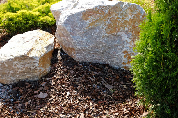istock Landscape design. Bushes, rocks. Dwarf spruce. Flowers. 977718652