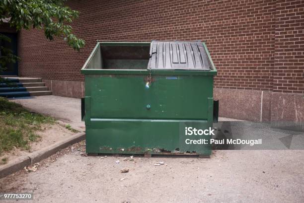 Green Garbage Dumpster Stock Photo - Download Image Now - Industrial Garbage Bin, Green Color, Garbage Bin