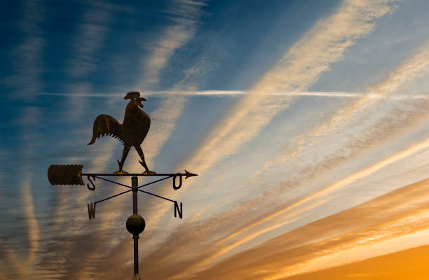 silueta de veleta con gallo metálico decorativo - meteorology weather vane direction wind fotografías e imágenes de stock