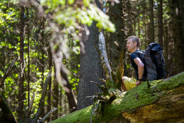 istock Hiker rests on a trail in a wood 977758712