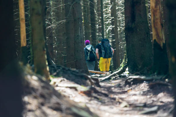 istock Hikers on a trail in a wood 977758768