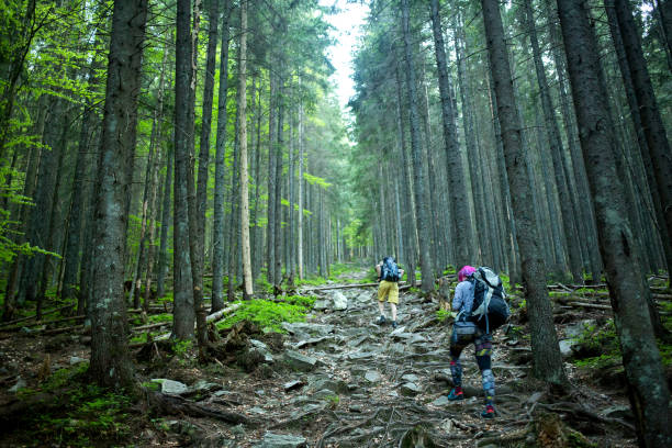 istock Hiker walks up on a trail in a wood 977758770