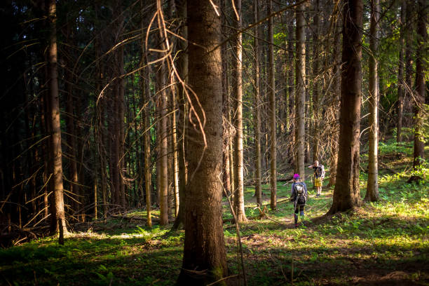 istock Hikers on a trail in a wood 977758774