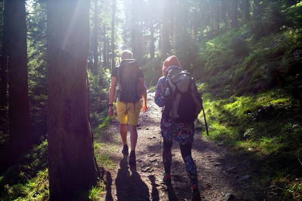 istock Hikers on a trail in a wood 977758776