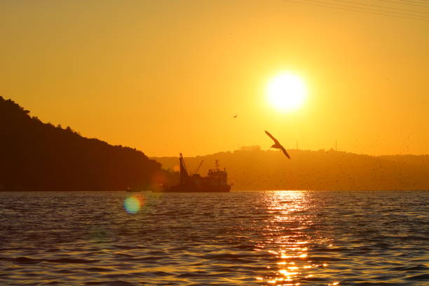 istock Sunset and Fishing Boat 977760020