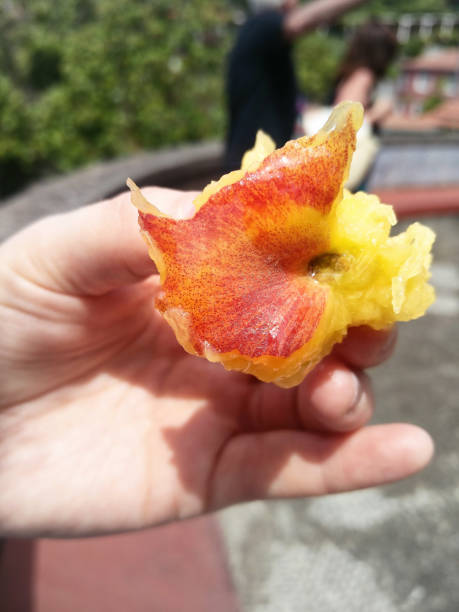 istock Half eaten juicy peach in a person's hand 977762468