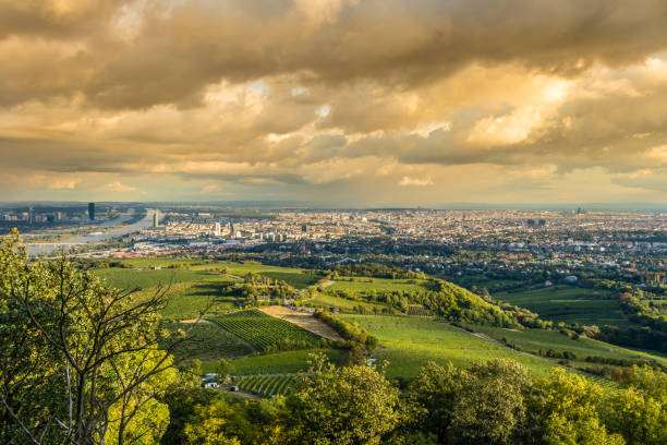 istock Vienna landscape from Kahlenberg mountain, Austria 977769074