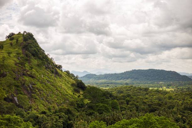 istock Landscape at Sri Lanka 977769438