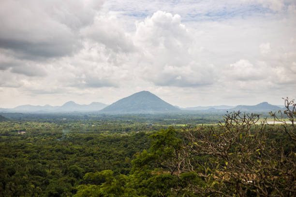 istock Landscape at Sri Lanka 977769482
