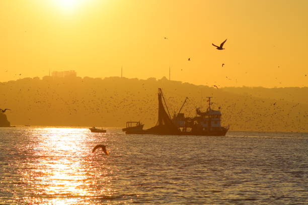 istock Sunset and Fishing Boat 977797212