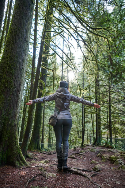 istock Young beautiful woman hiking in the tree area 977798974