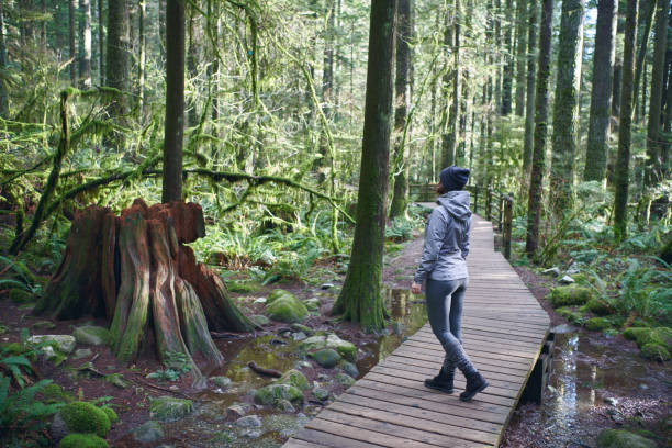istock Young beautiful woman hiking in the tree area 977803580