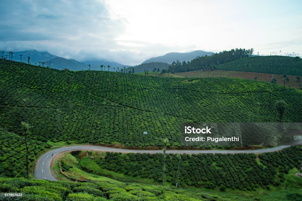 An Angle of the road from Valparai Mountain Tamil Culture Stock Photo