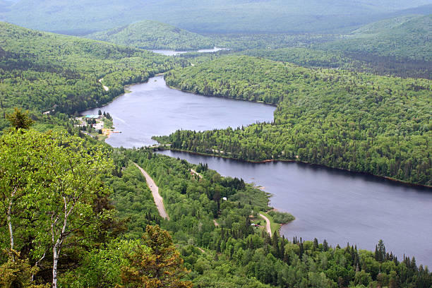istock Mont Tremblant National Park 97781360