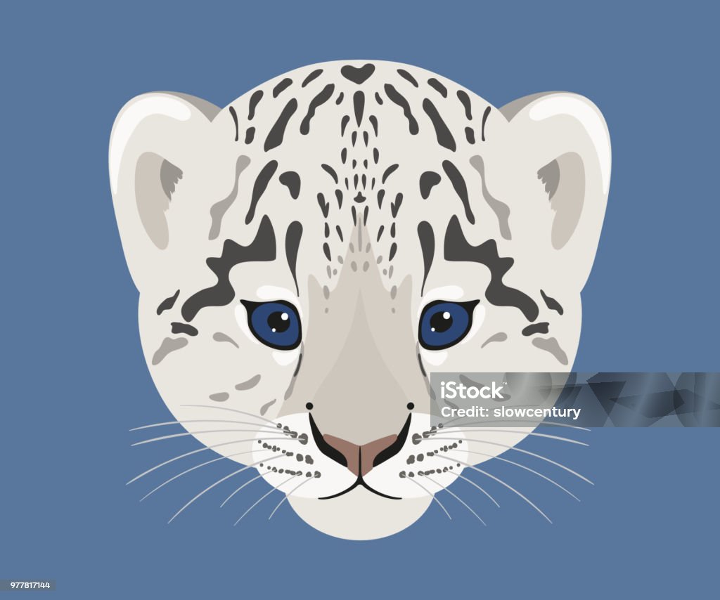 Snow leopard cub face. Vector illustration. Snow leopard cub. Face of cute baby snow leopard. Vector illustration. Snow Leopard stock vector