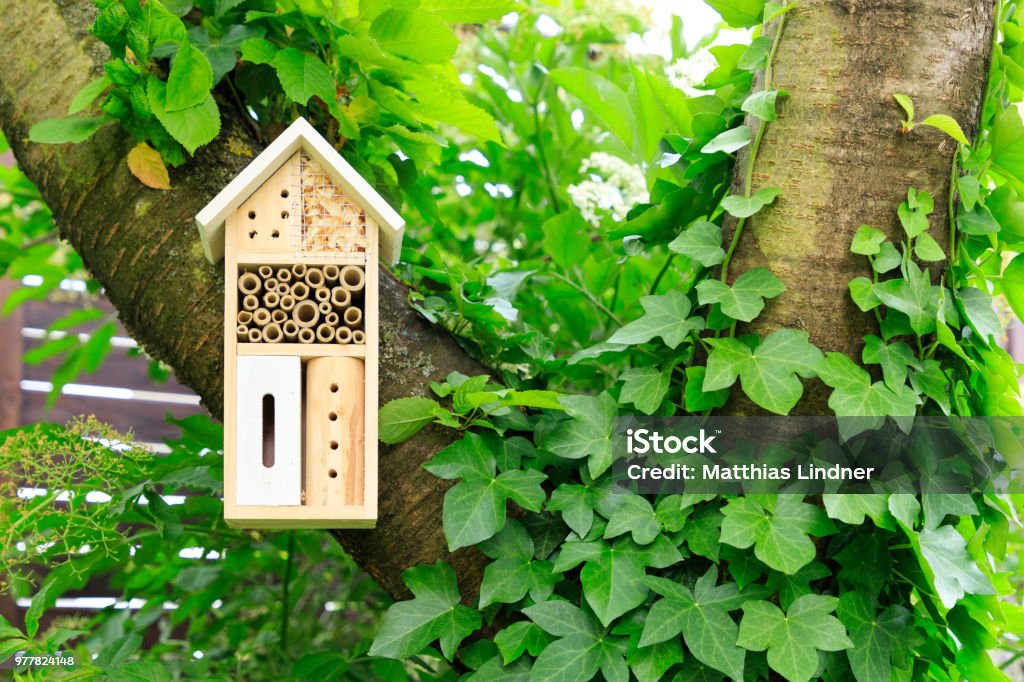 A wooden insect hotel in the tree A wooden insect hotel in the tree. Hotel Stock Photo