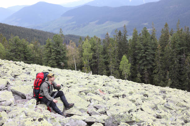 istock Active healthy man hiking in beautiful forest 977830006