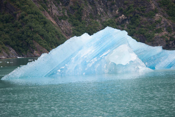 istock Best antartica photos 977830402