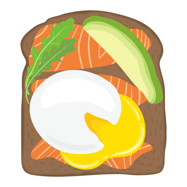 ilustraciones, imágenes clip art, dibujos animados e iconos de stock de huevos poché con salmón y aguacate en pan tostado. sandwich de lox delicioso huevo con pan tostado. ilustración de vector. - smoked salmon illustrations