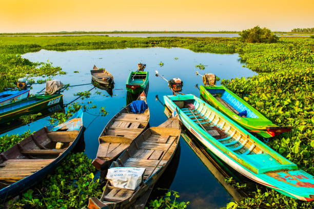 solo barcos coloridos hermoso lago, granja de lotus, phnom krom, camboya - cambodia khmer architecture outdoors fotografías e imágenes de stock