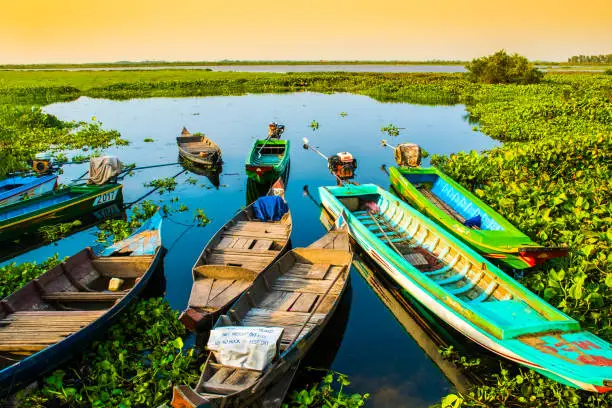 Alone beautiful colorful boats on lake, Lotus Farm, Phnom Krom in Cambodia