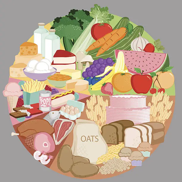 Vector illustration of The Food Groups